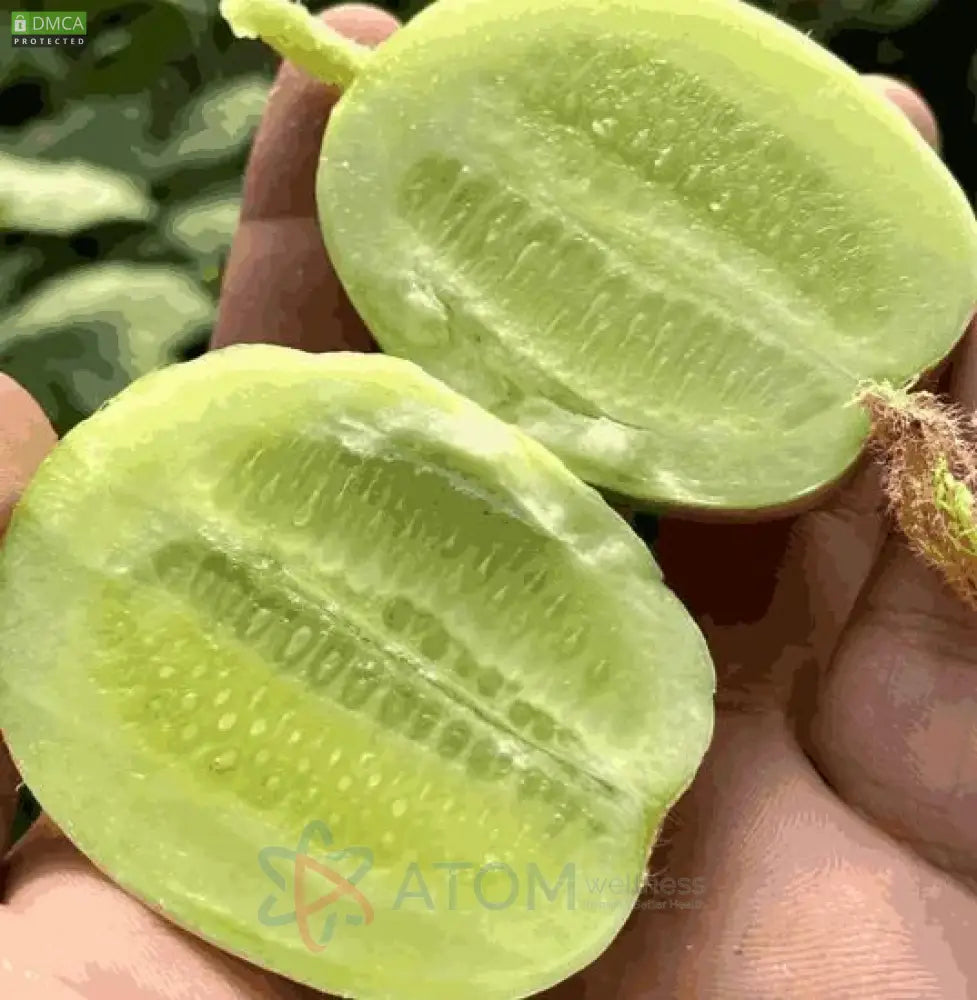 Cucumber-Golden Boy Lady Cucumber