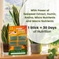 Plant Food Magic Sticks Pack of 1 (25 sticks)