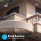 Effective & Humane Pigeon Control Spikes | Stainless Steel Bird Deterrent for Balcony & Terrace (Set of 10)