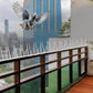 Effective & Humane Pigeon Control Spikes | Stainless Steel Bird Deterrent for Balcony & Terrace (Set of 10)