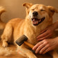 happy dog getting brushed