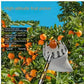 1 Set Fruit Picker Fruit Picking Tool With Storage Bag