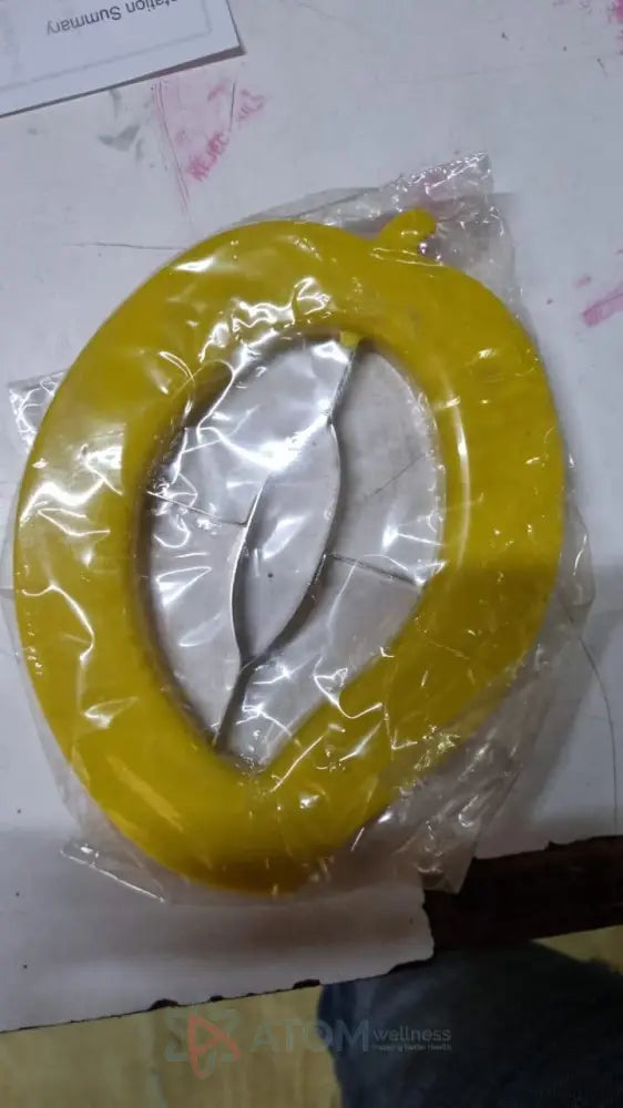 Mango Cutter Chopper Slicer Tool
