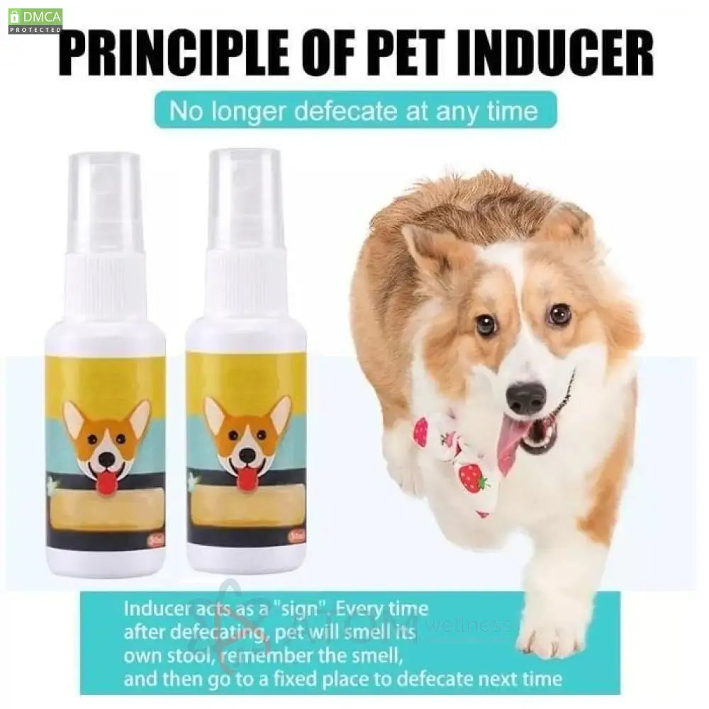 Natural Potty Training Spray For Dog & Cat 30Ml (Pack Of 2)