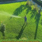 Hybrid Quick Grow Grass Lawn Seeds For Home Gardening DIY  (Pack Of 100 seeds)